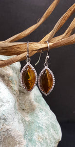 Baltic Amber Marquise Earrings-sterling silver