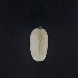 Carving Deer horn Native lady with animals Pendant