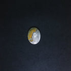 Oval Bumble Bee Jasper stone