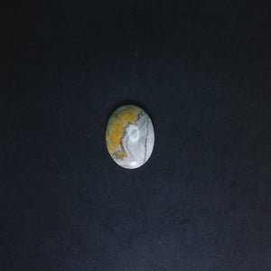 Oval Bumble Bee Jasper stone
