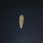 Teardrop Bumble Bee Jasper stone