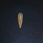 Teardrop Bumble Bee Jasper stone