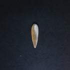 Teardrop Bumble Bee Jasper stone