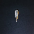 Teardrop Bumble Bee Jasper stone